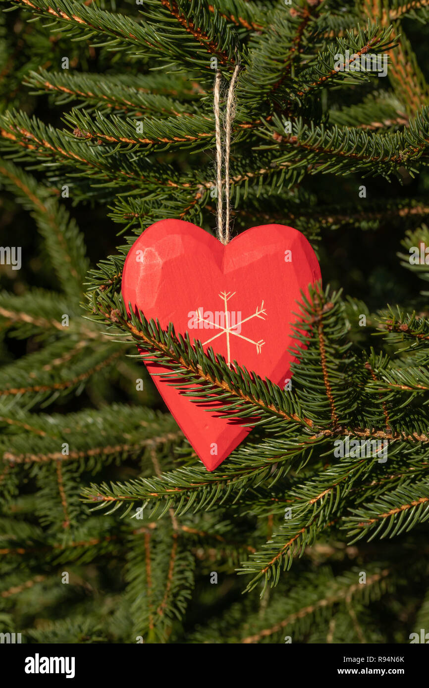 Schönen Gruß Karte mit neuen Jahr 2019 und Happy Valentine's Day Weihnachten Baum mit roten Herzen von Flachs in den Strahlen der Wintersonne, Witz Stockfoto