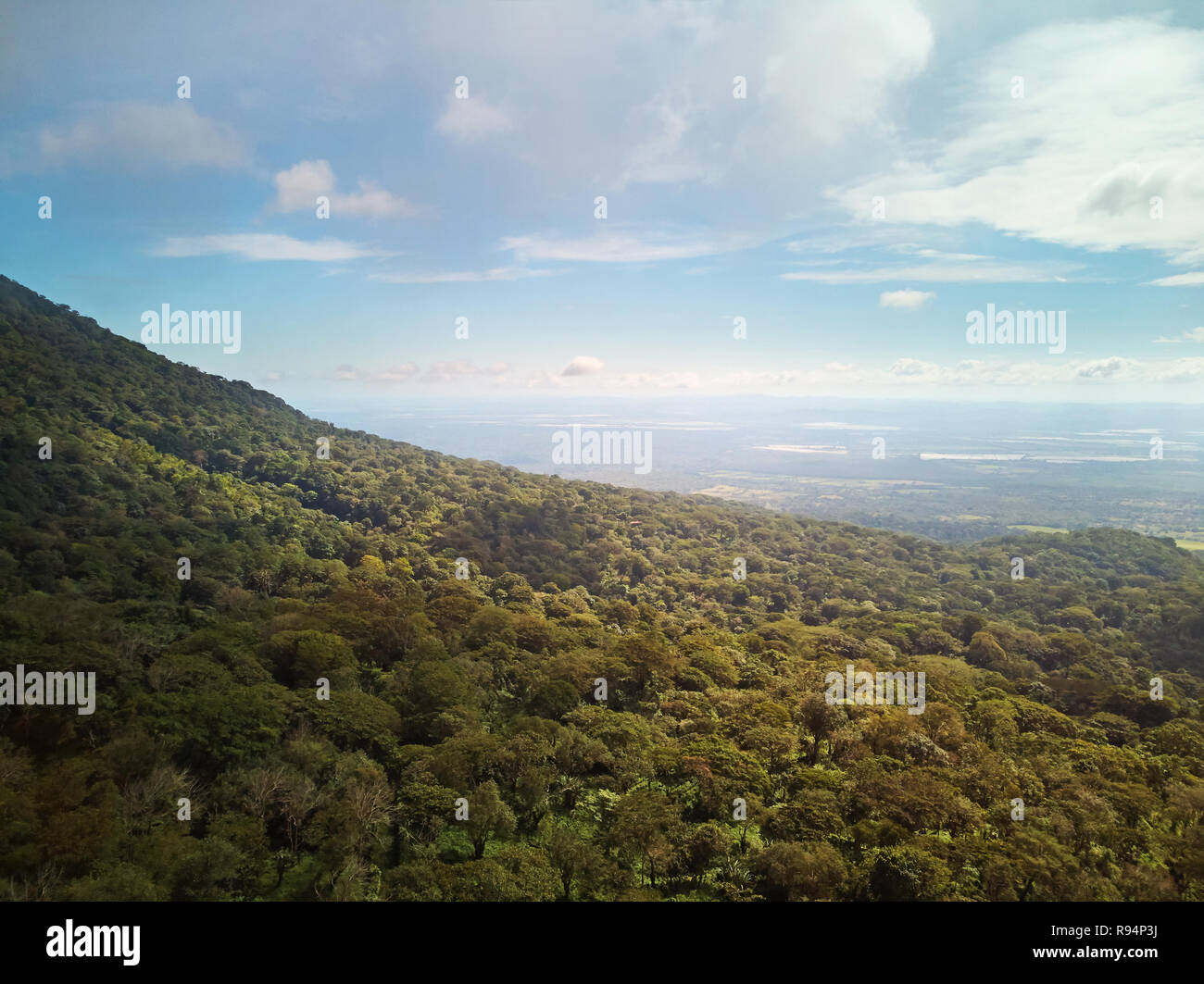 Luftaufnahme auf wilde Savanne an einem sonnigen Tag Stockfoto