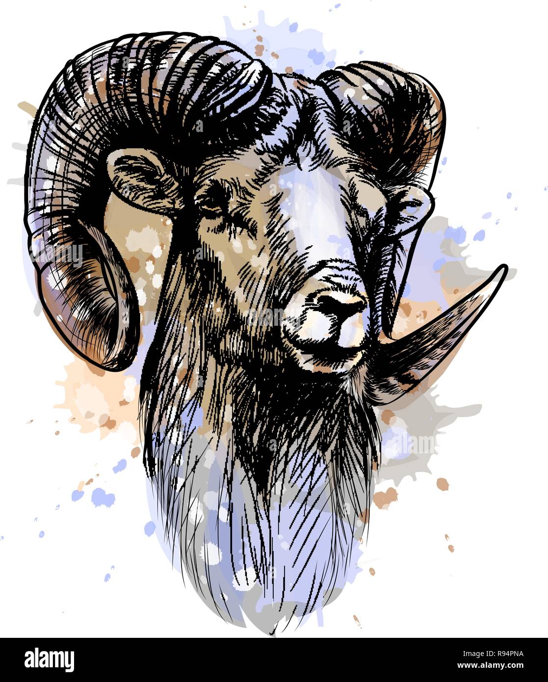 Bighorn Schafe, Schafe von einem Schuss Aquarell Stock Vektor