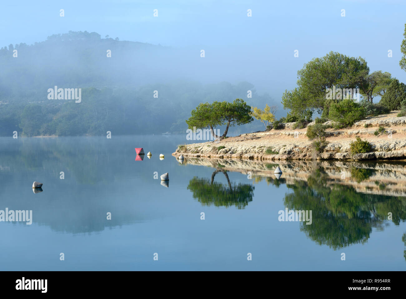 Am frühen Morgen Nebel & Reflexionen in See Esparron Esparron-de-Verdon Alpes-de-Haute-Provence Provence Frankreich Stockfoto