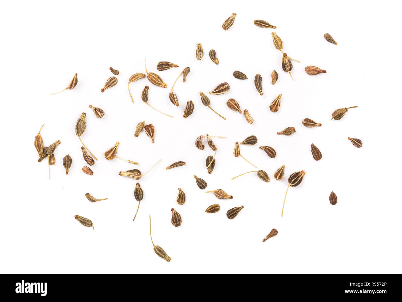 Getrocknete Anis Samen auf weißem Hintergrund. Ansicht von oben Stockfoto