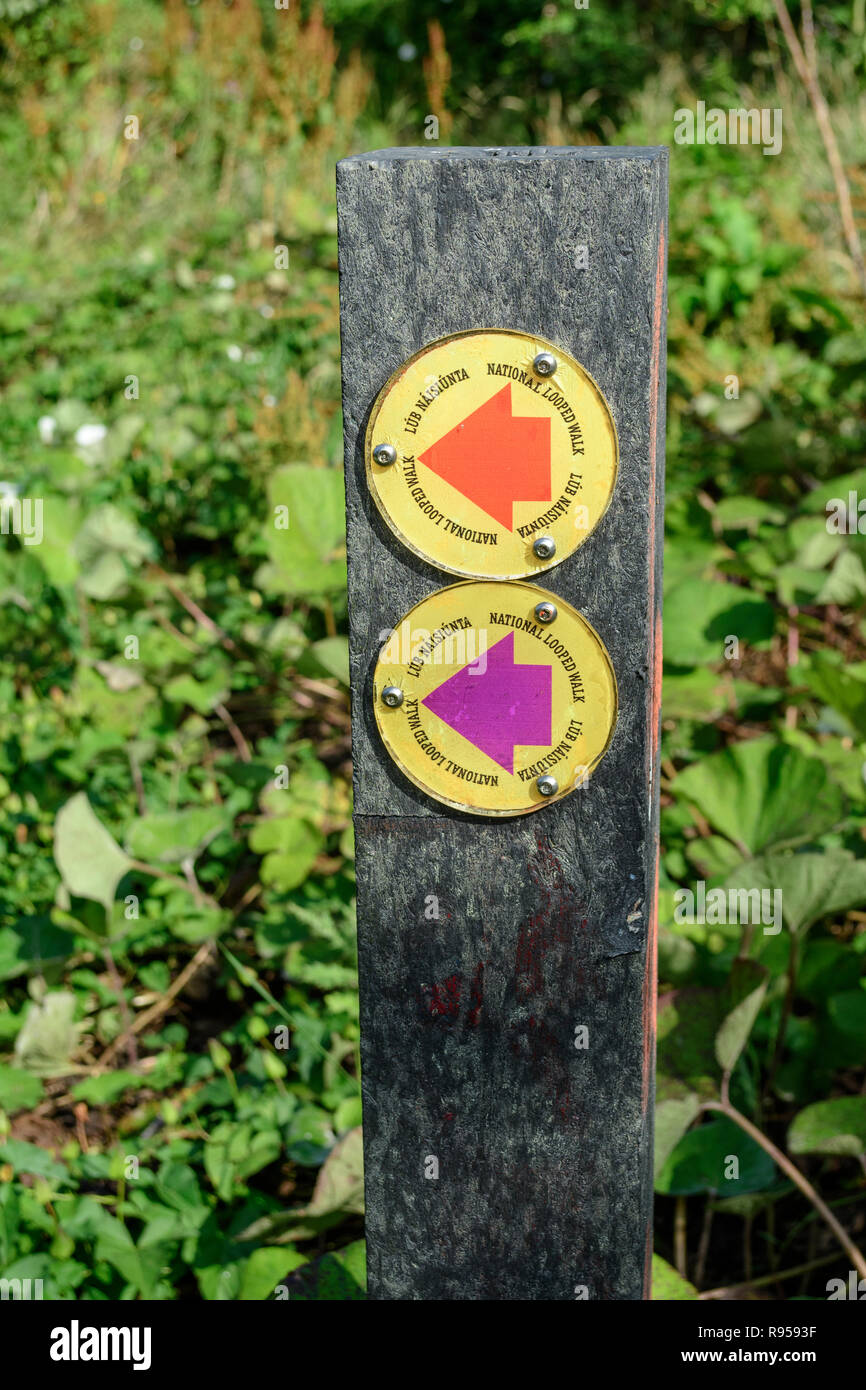 Post mit Pfeilen Unterzeichnung ein Wanderweg auf der Halbinsel Howth, Dublin, Irland Stockfoto