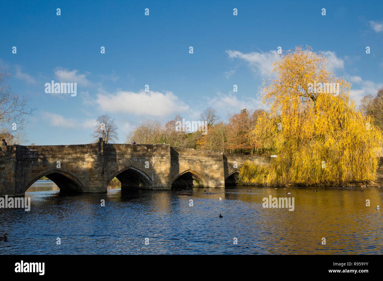 Brücke am Fluss Wye Bakewell Stockfoto