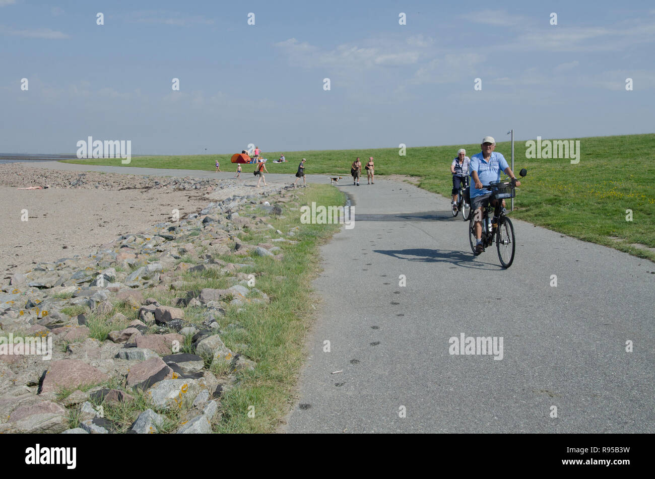 21.08.2012, Reussenkoege, Schleswig-Holstein, Deutschland - Beltringharder Koog ist der Name der 1987 fertiggestellten Vordeichung eines Ganzs des schlesw Stockfoto