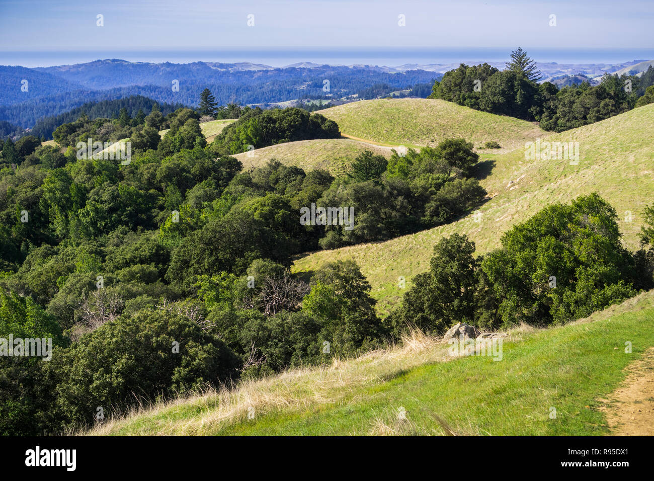 Grüne Hügel in Santa Cruz Mountains und dem Pazifik Küste im Hintergrund, San Francisco Bay Area, Kalifornien Stockfoto
