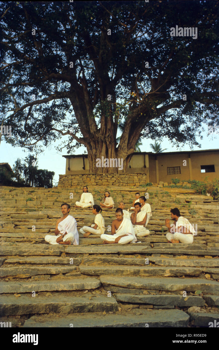 Brahmin india Fotos und Bildmaterial in hoher Auflösung Alamy