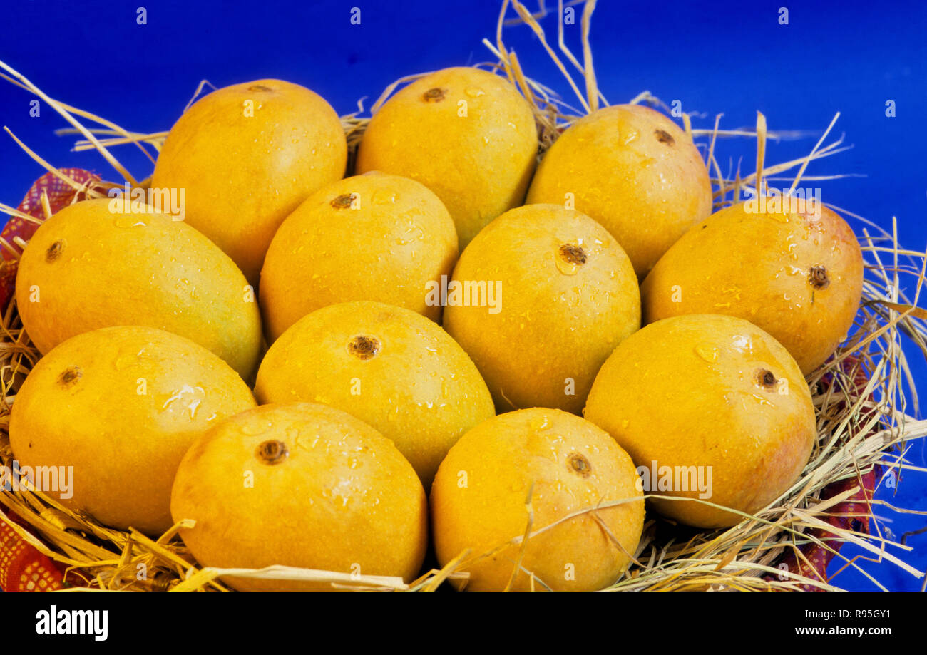 Mangos Stockfoto