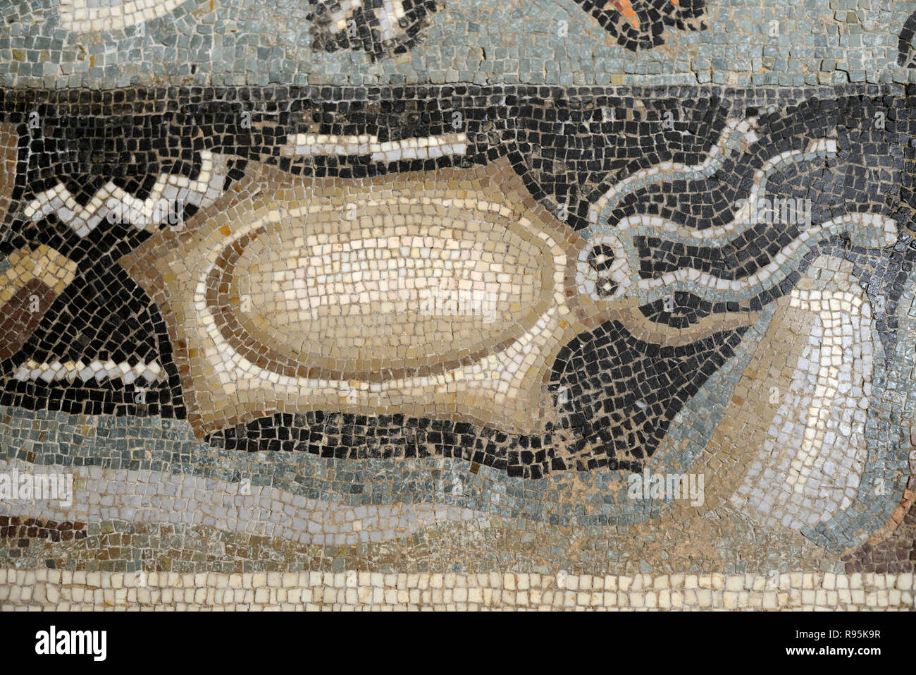 Römisches Fußbodenmosaik (c3 rd-c 4.) Der Tintenfisch & Mediterrane Meeresboden aus der antiken römischen Stadt Ammaedara Haidra Tunesien Stockfoto