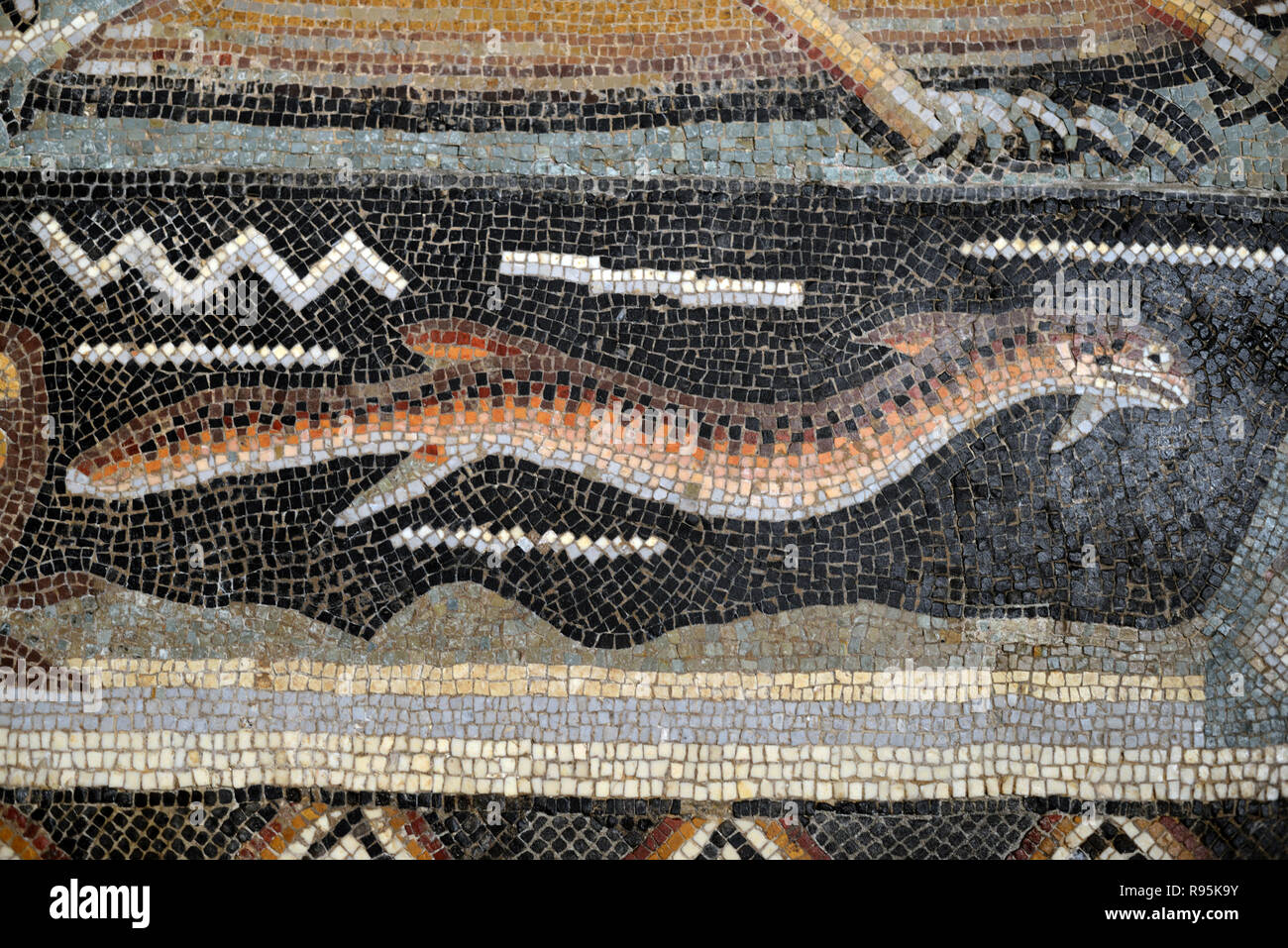 Detail der Römischen Fußbodenmosaik (c3 rd-c 4.) Der Aal Fisch auf mediterranen Meeresgrund aus der antiken römischen Stadt Ammaedara Haidra Tunesien Stockfoto