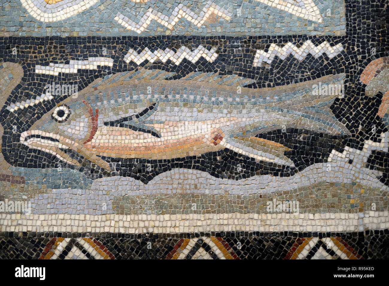 Detail der Römischen Fußbodenmosaik (c3 rd-c 4.) der Fische auf der mediterranen Meeresgrund aus der antiken römischen Stadt Ammaedara Haidra Tunesien Stockfoto