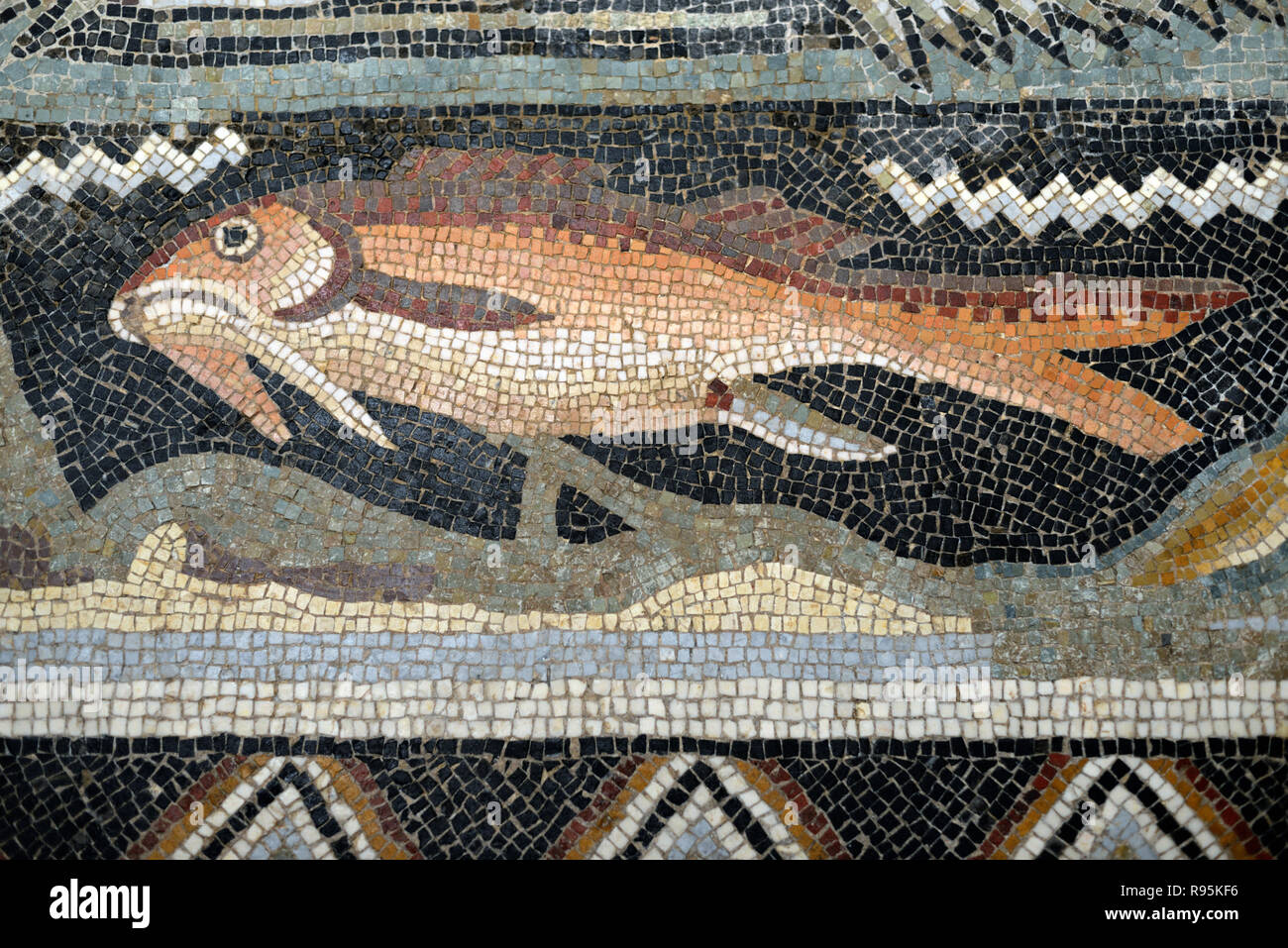 Detail der Römischen Fußbodenmosaik (c3 rd-c 4.) der Fische auf der mediterranen Meeresgrund aus der antiken römischen Stadt Ammaedara Haidra Tunesien Stockfoto