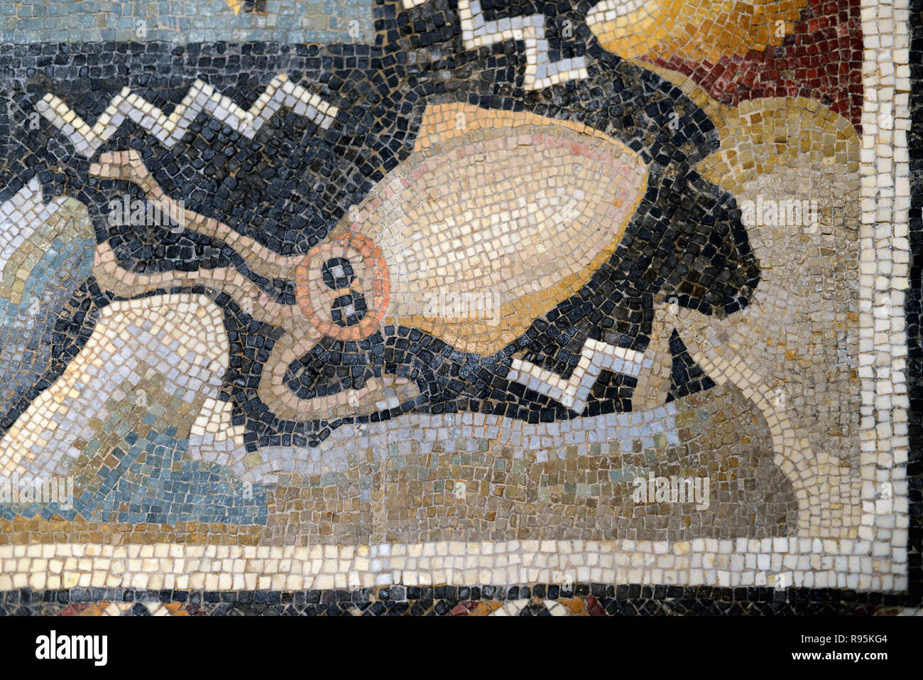 Römisches Fußbodenmosaik (c3 rd-c 4.) Der Tintenfisch & Mediterrane Meeresboden aus der antiken römischen Stadt Ammaedara Haidra Tunesien Stockfoto
