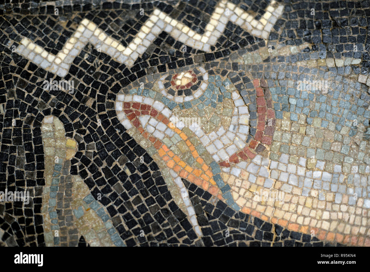 Detail der Römischen Fußbodenmosaik (c3 rd-c 4.) der Fische auf der mediterranen Meeresgrund aus der antiken römischen Stadt Ammaedara Haidra Tunesien Stockfoto