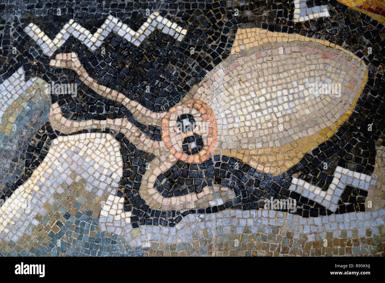 Römisches Fußbodenmosaik (c3 rd-c 4.) Der Tintenfisch & Mediterrane Meeresboden aus der antiken römischen Stadt Ammaedara Haidra Tunesien Stockfoto