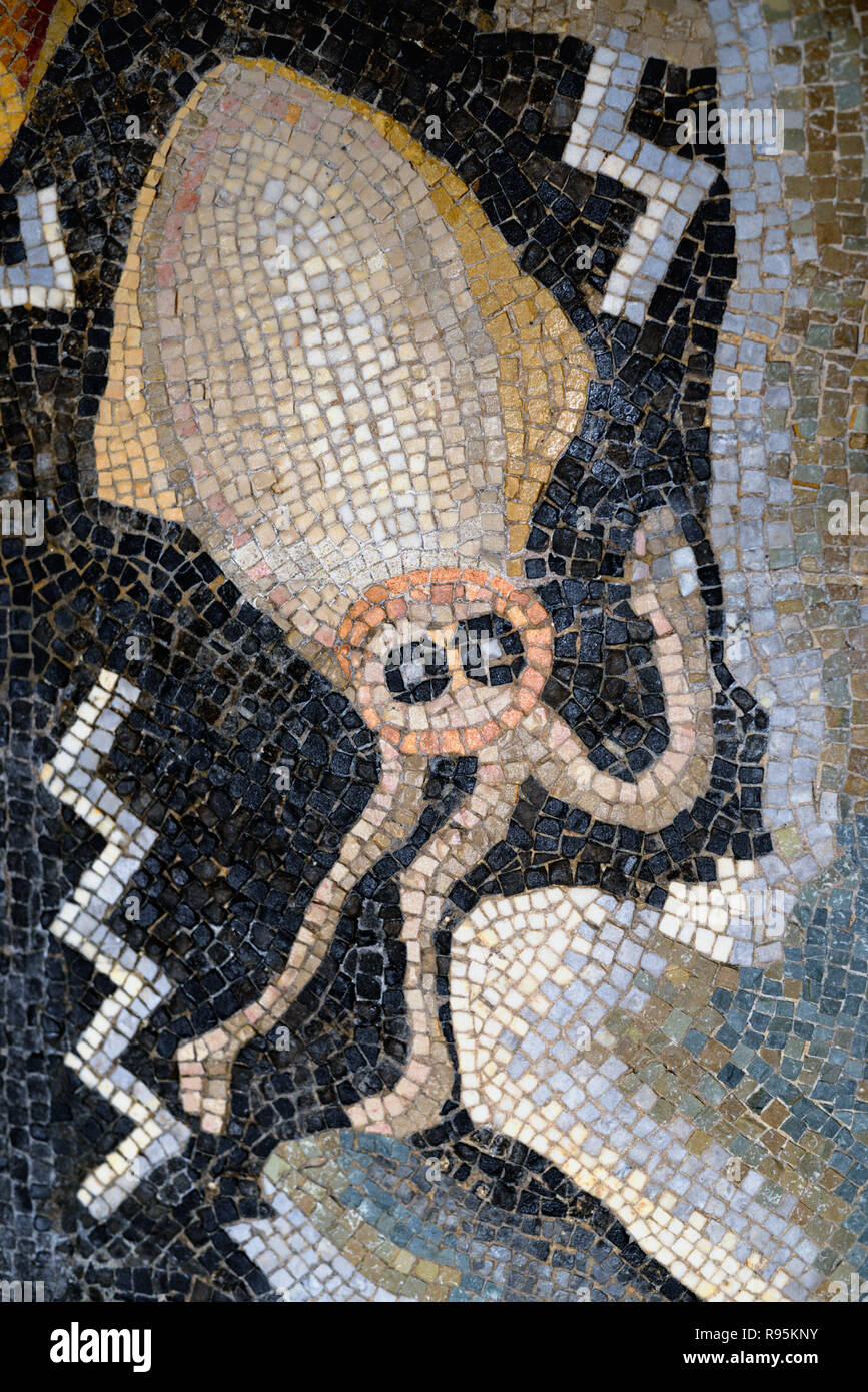 Römisches Fußbodenmosaik (c3 rd-c 4.) Der Tintenfisch & Mediterrane Meeresboden aus der antiken römischen Stadt Ammaedara Haidra Tunesien Stockfoto