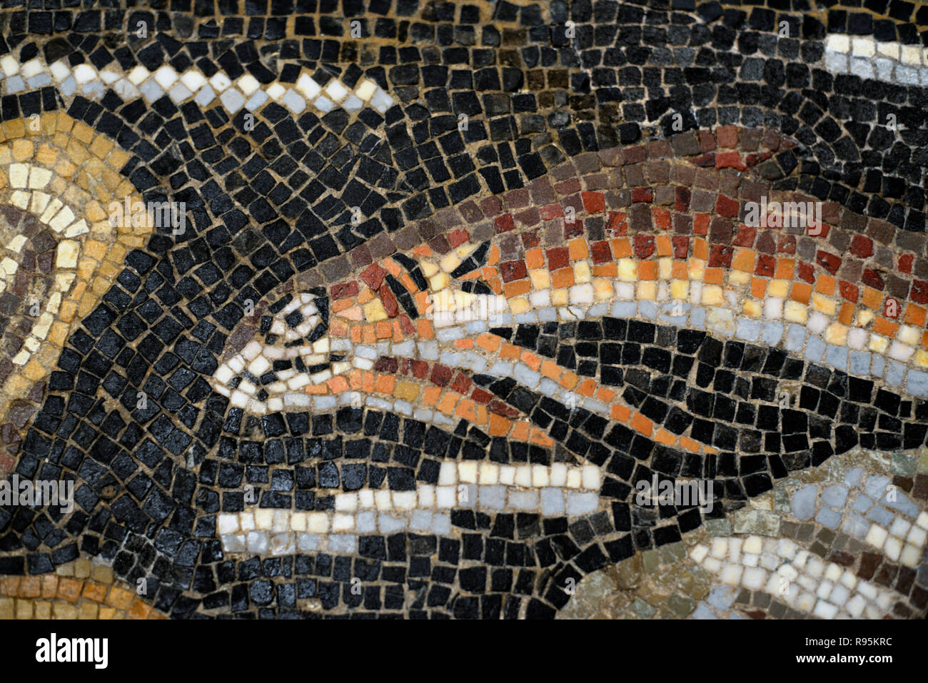 Detail der Römischen Fußbodenmosaik (c3 rd-c 4.) Der Aal Fisch auf mediterranen Meeresgrund aus der antiken römischen Stadt Ammaedara Haidra Tunesien Stockfoto