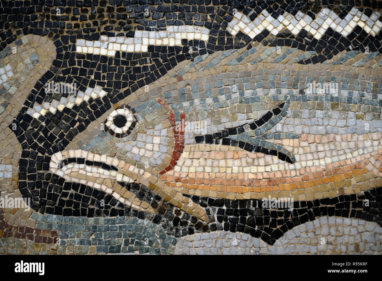 Detail der Römischen Fußbodenmosaik (c3 rd-c 4.) der Fische auf der mediterranen Meeresgrund aus der antiken römischen Stadt Ammaedara Haidra Tunesien Stockfoto