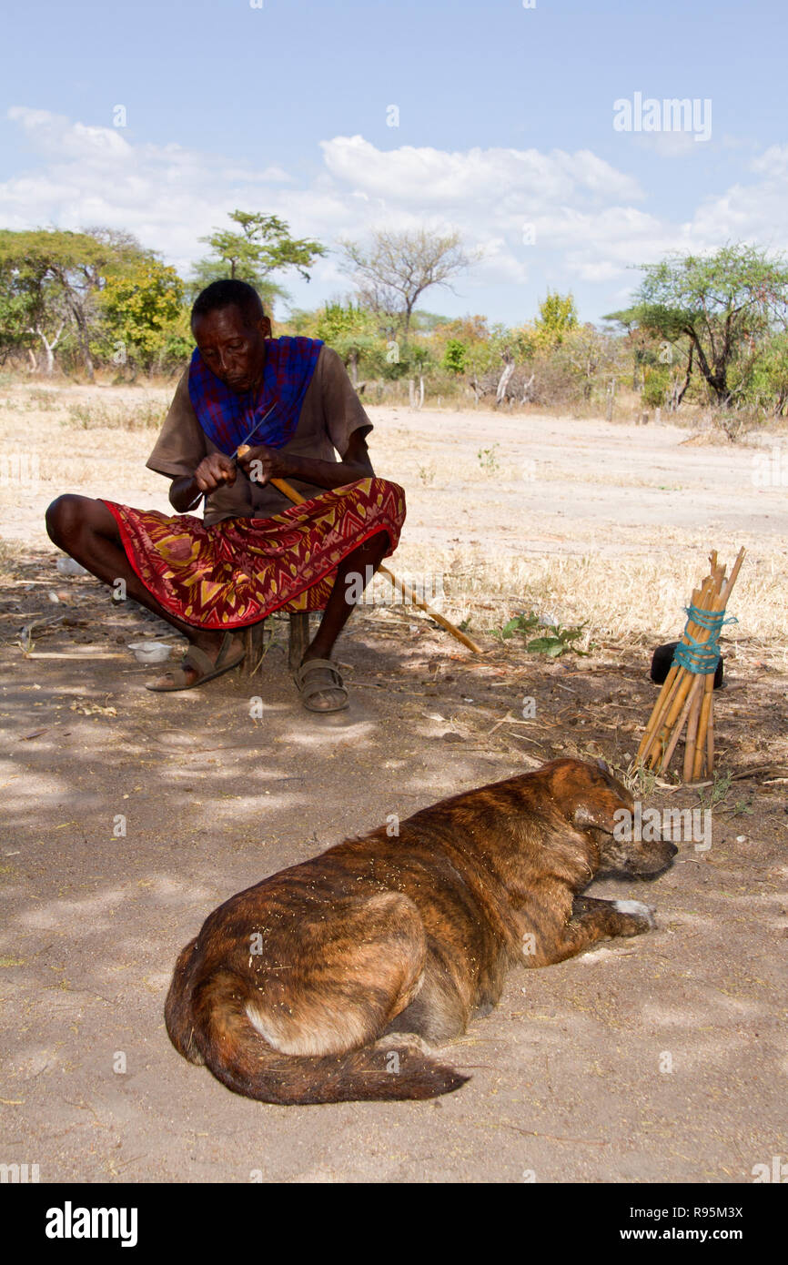 Eine Gruppe von Massai zogen in den Ruaha National Park östliche Grenze, in den 70er Jahren die Beschränkungen von Julius Nyere des Njaama zu entkommen Stockfoto