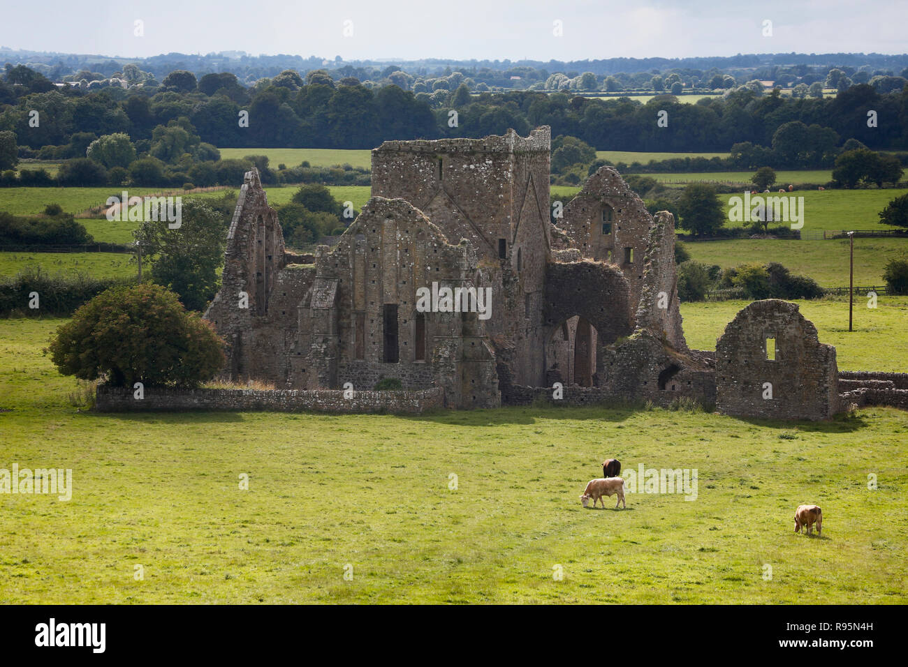 Cashel, County Tipperary, Irland. Die Ruinen des Zisterzienserklosters Hore Abbey aka Hoare Abtei oder St. Mary's. Stockfoto