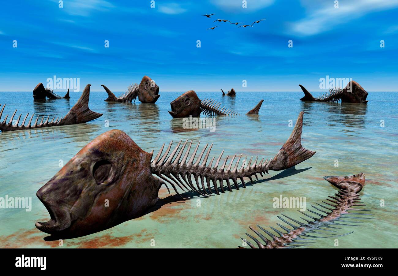 Tote Fische getötet durch Umweltverschmutzung, der lag auf einem Bett aus Meer oder Ozean getrocknet. Stockfoto