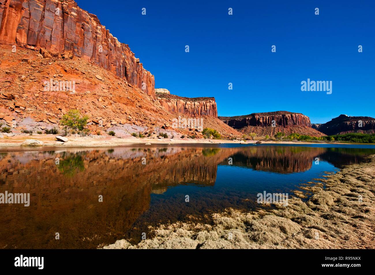 Utah, Canyon lands National Park. Was im Dugout, Behälter, Nadeln Bereich Stockfoto