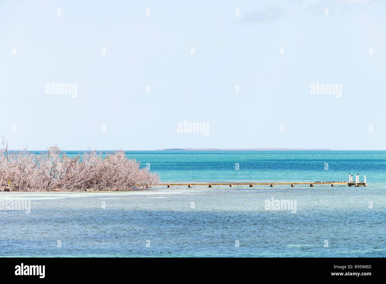 Yacht Marina, Kai, der Promenade nach dem Hurrikan Irma, zerstört Mangrovenwälder, Pfähle, Ozean, Meer, Wasser, niemand in Piegon Key, Florida Keys, USA Stockfoto