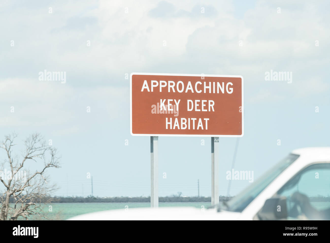 Key Deer Lebensraum Zeichen, nähert sich auf der Straße, Straße, Verkehr grüne Zeichen auf Overseas Highway, US1 Route in Florida Keys Stockfoto