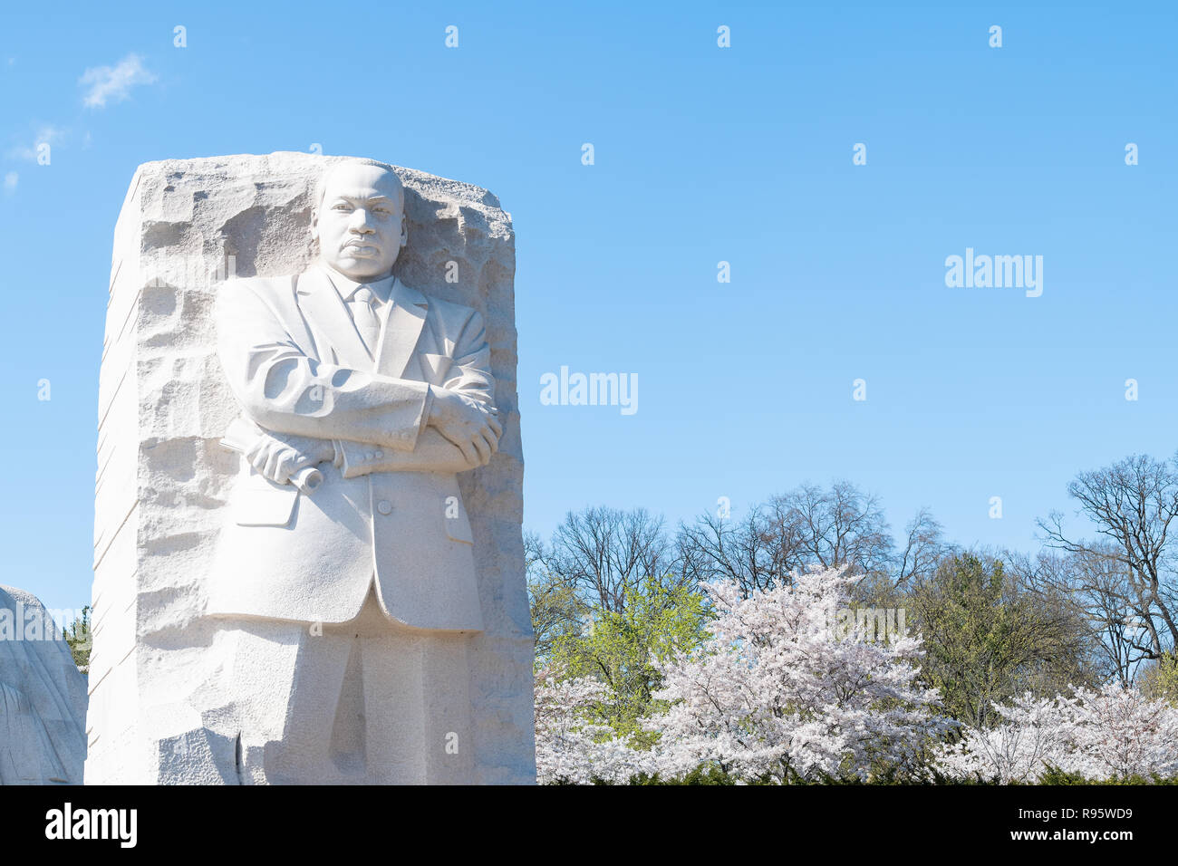 Martin Luther King, Jr. Memorial Statue, Skulptur am Frühling, Cherry Blossom Festival, sakura Blüten Bäume mit niemand, blauer Himmel Stockfoto