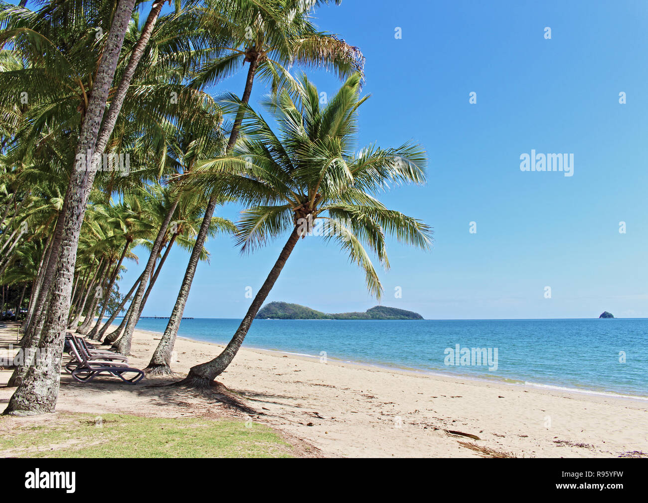 Die schönsten Palmen gesäumten Sandstrand, unberührten und einsamen Strand nördlich von Cairns. Besuchen Sie Palm Cove Beach. Erkunden Nord Australien Stockfoto