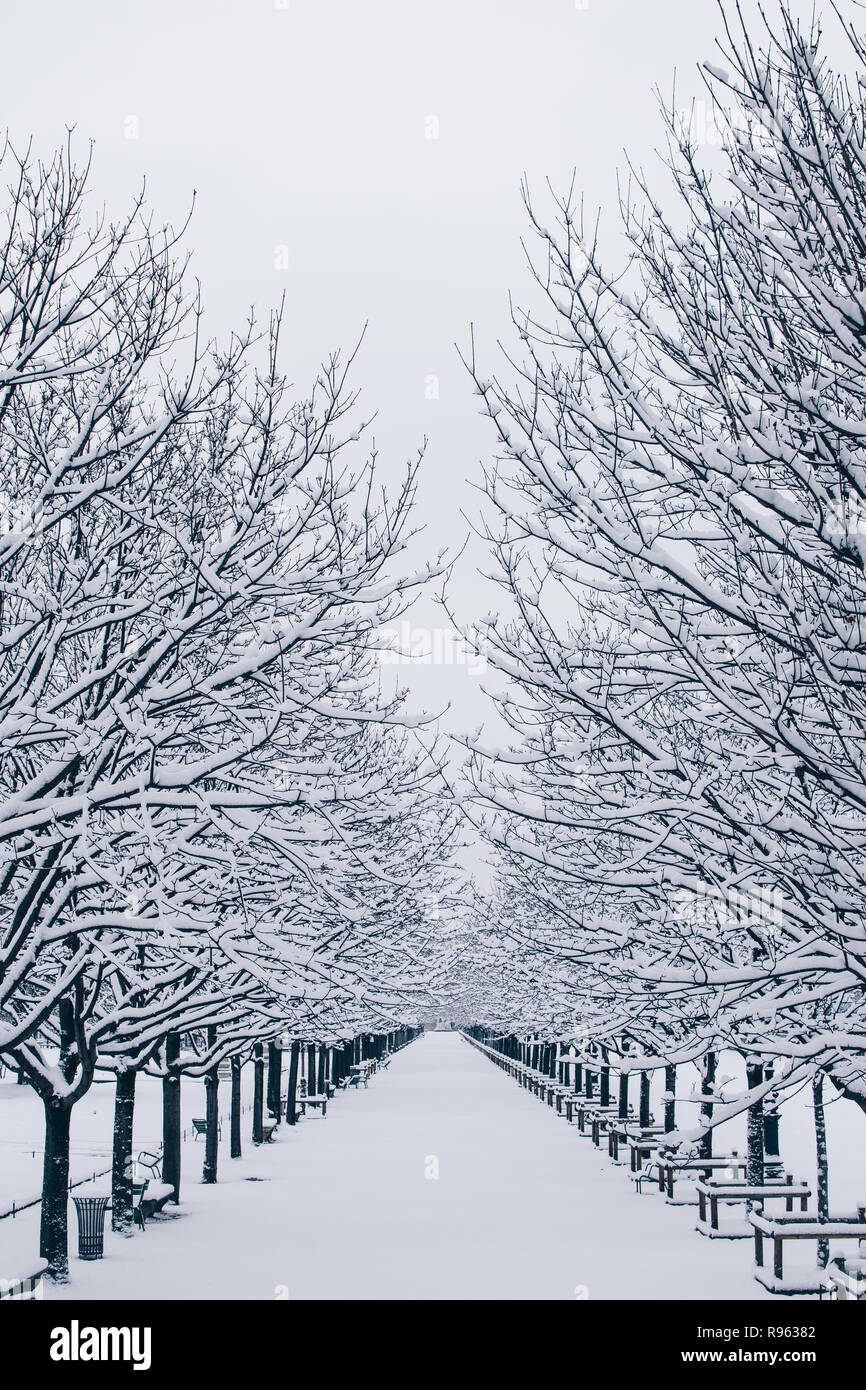 Schnee in den Tuilerien Stockfoto