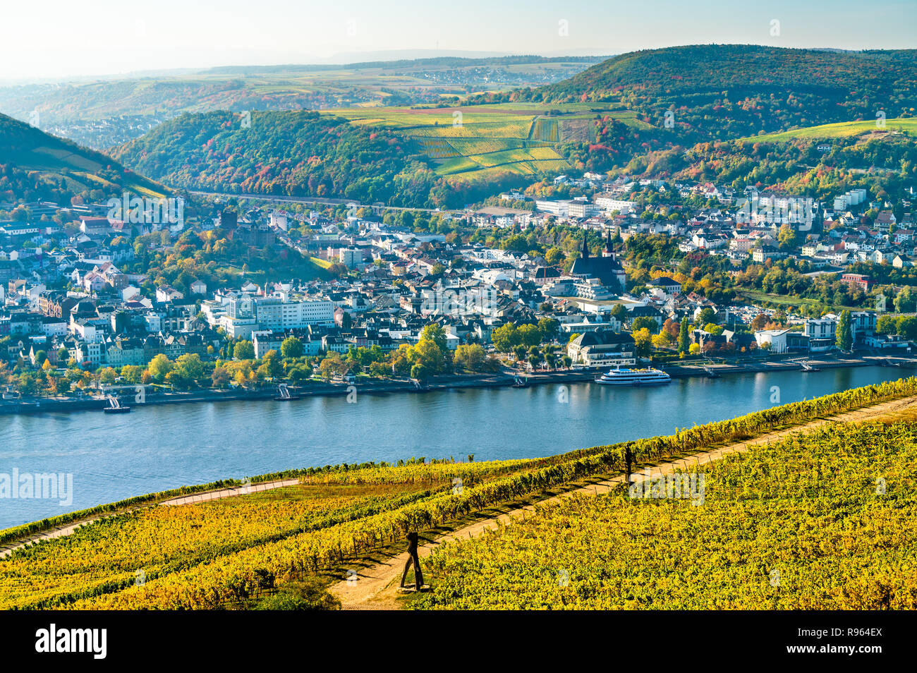 Blick auf Bingen am Rhein von Rüdesheim Weinbergen am Rhein, Deutschland Stockfoto