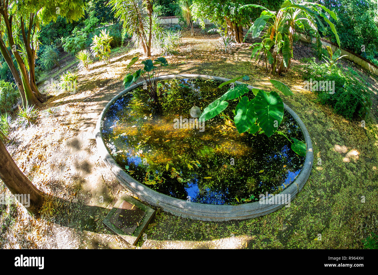 Botanischer Garten von Palermo, Luftaufnahme der zentralen Pound in einem Tag Zeit Stockfoto