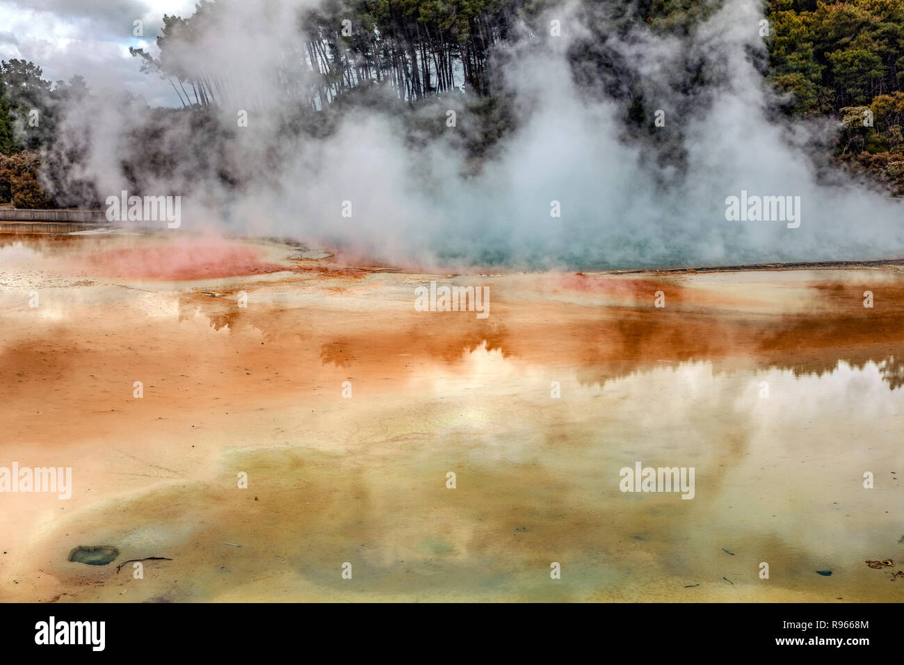 Rotorua Wai-O-Tapu, Bay of Plenty, North Island, Neuseeland Stockfoto