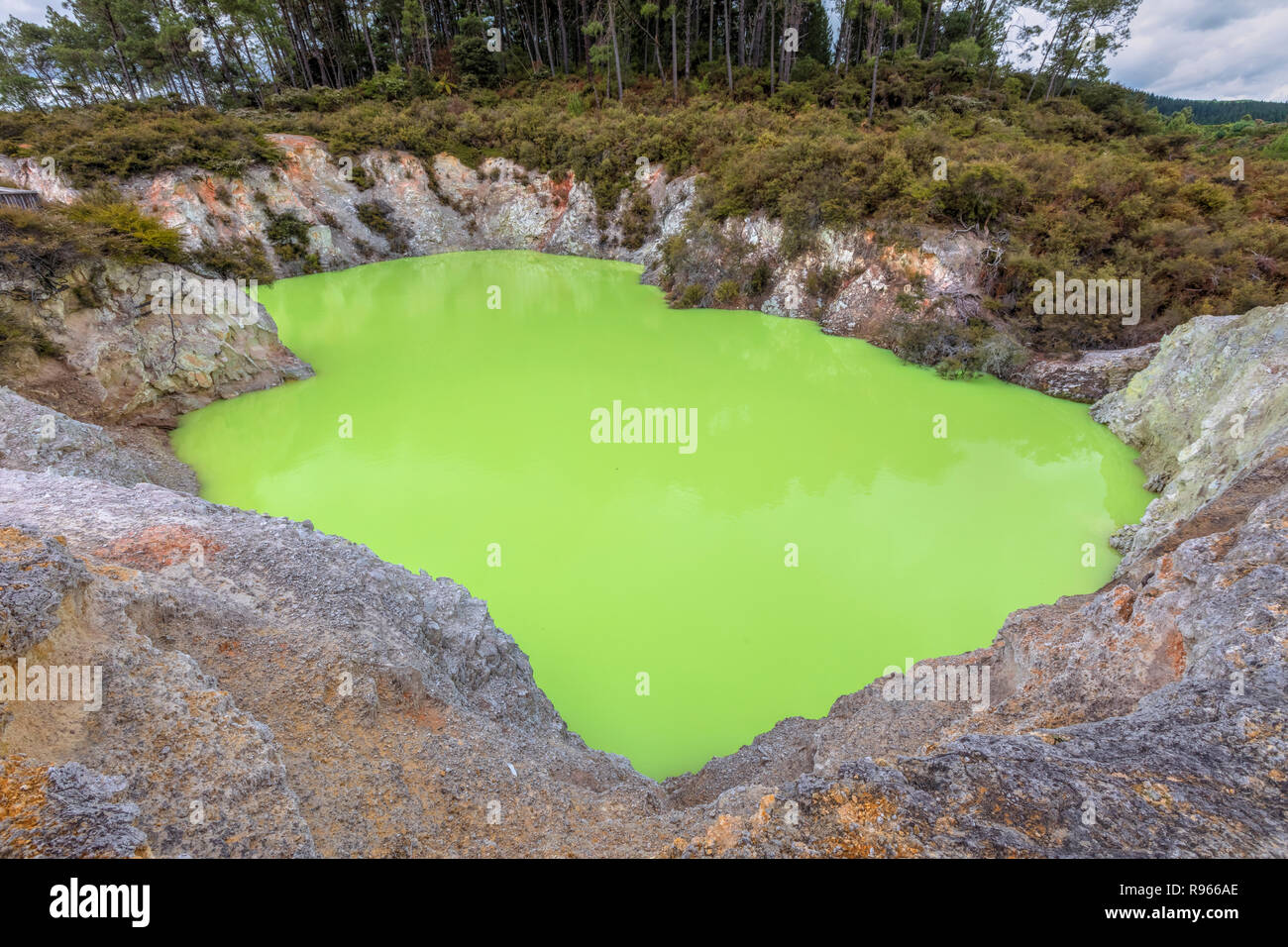 Rotorua Wai-O-Tapu, Bay of Plenty, North Island, Neuseeland Stockfoto