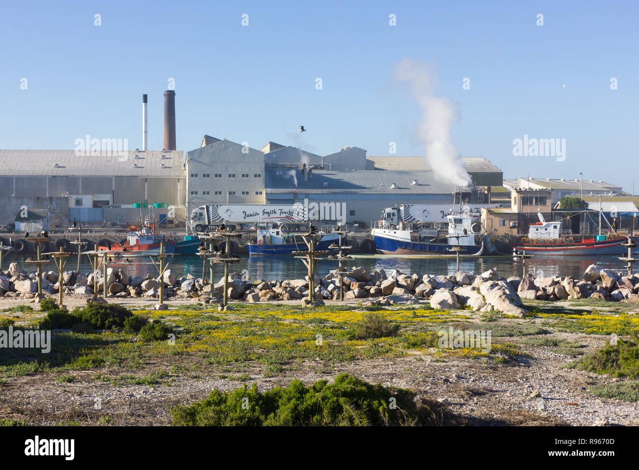Fischfabrik an Lamberts Bay Hafen oder den Hafen auf das Meer mit Kormorane nisten in den Vordergrund und Fischerboote vertäut am Steg, Südafrika Stockfoto