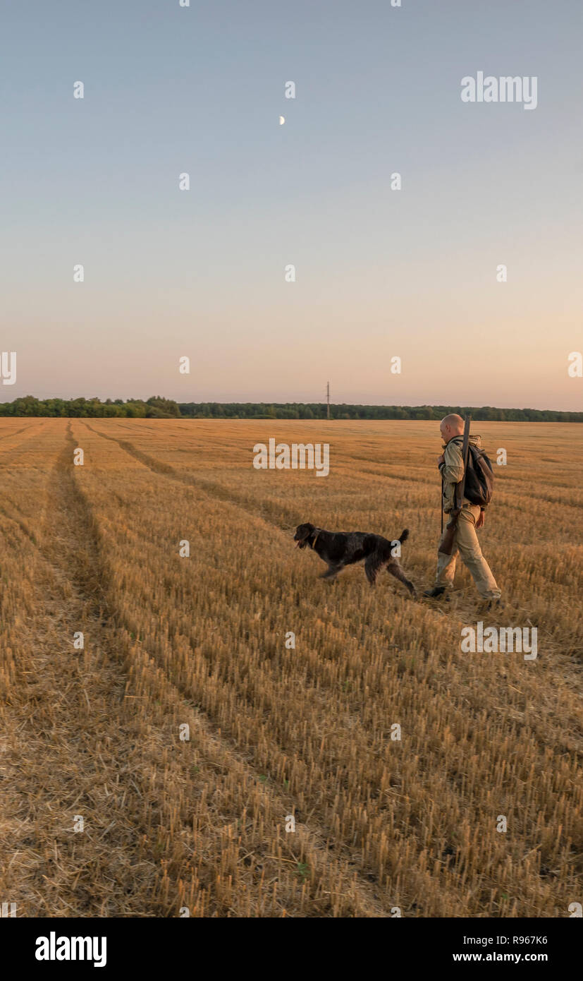 Herbst auf der Jagd nach Feld Spiel mit einem Hund bei Sonnenuntergang Stockfoto