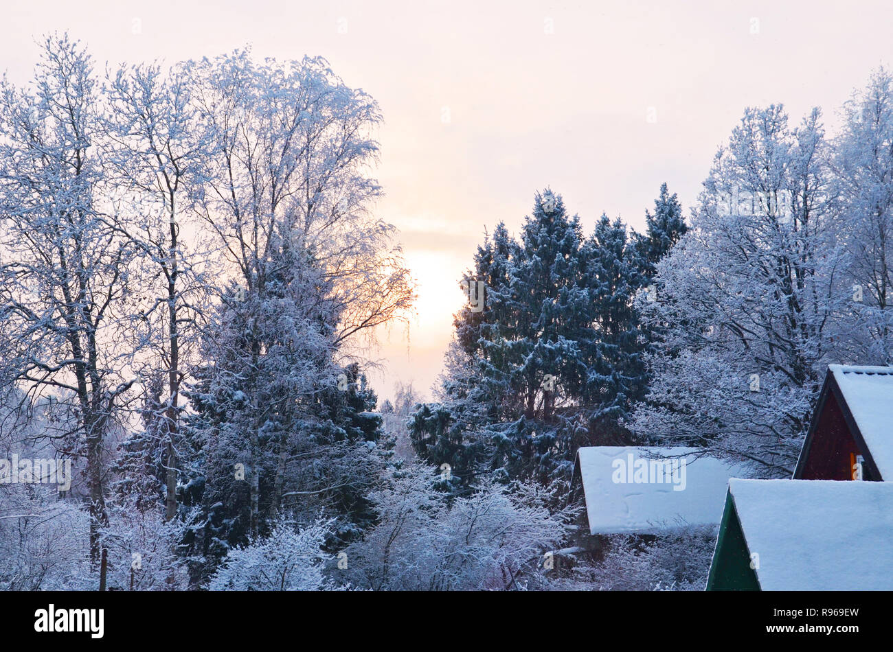 Stock Bild. Winter wald landschaft in der Dämmerung. Zweige von Bäumen, Sträuchern und Dächer der ländlichen Häuser in rime Eis. Stockfoto