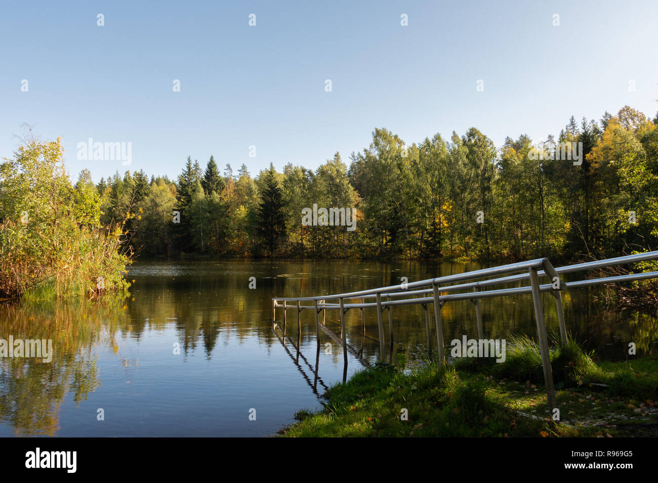 See mit bunten Bäumen Reflexionen im Sommer/Bäume Reflexionen mit Kopie Raum/See scape mit Wald und blauer Himmel Stockfoto