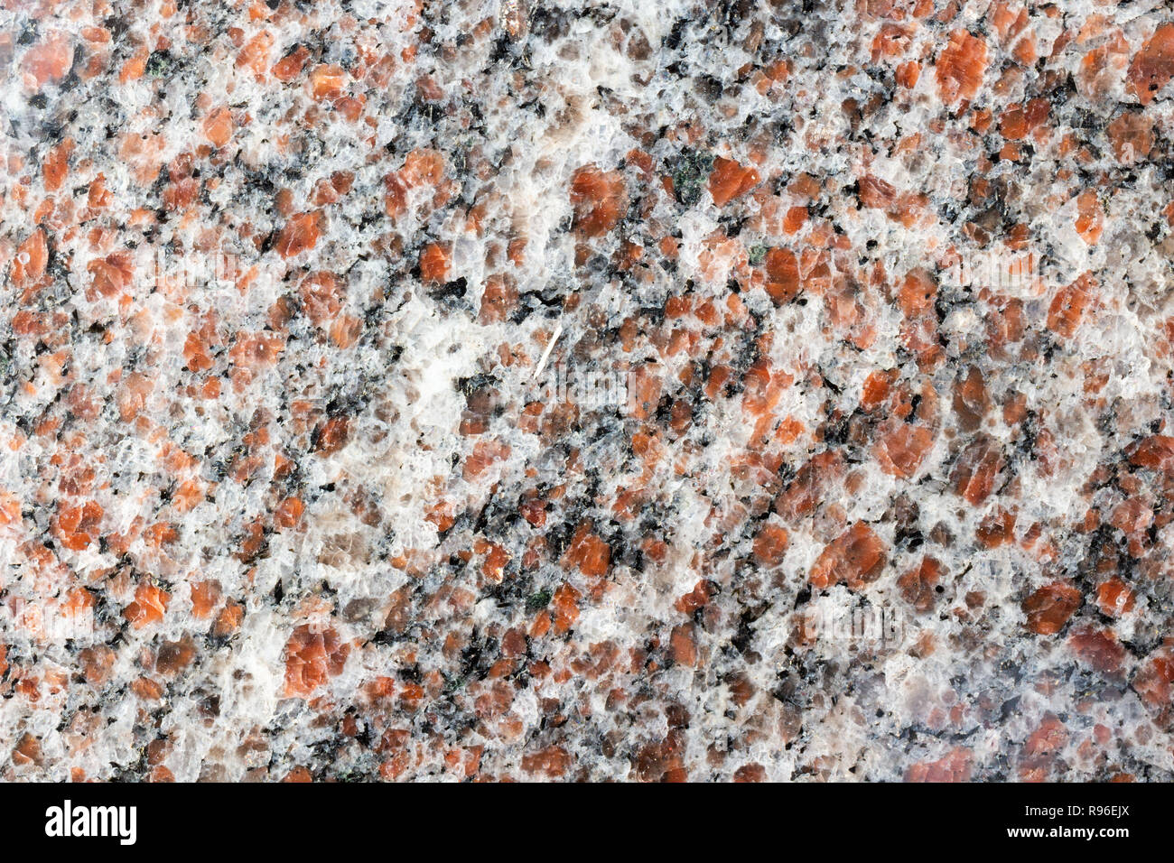 Makro mit Granitstruktur. Rot, schwarz, grau. Stockfoto