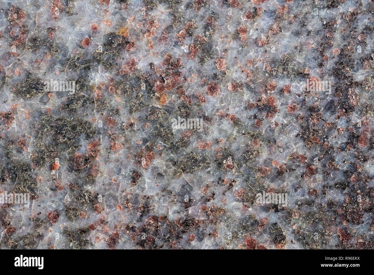 Makro mit Granitstruktur. Schwarz, rot. Stockfoto