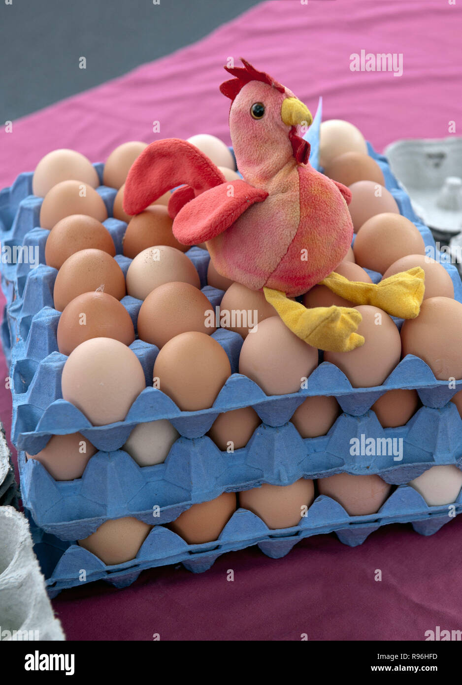 Tablett mit Eiern aus Freilandhaltung mit Spielzeug-Huhn zum Verkauf auf dem Bauernmarkt Stockfoto