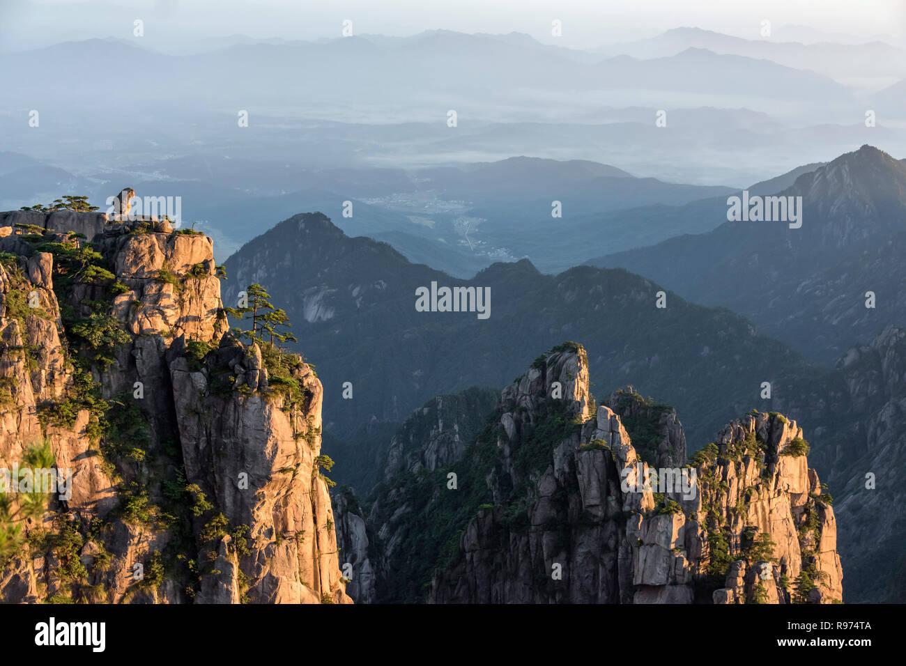 Der Ton Monkey auf Granit Felsen im Meer', Huangshan Nationalpark, Anhui, China Stockfoto