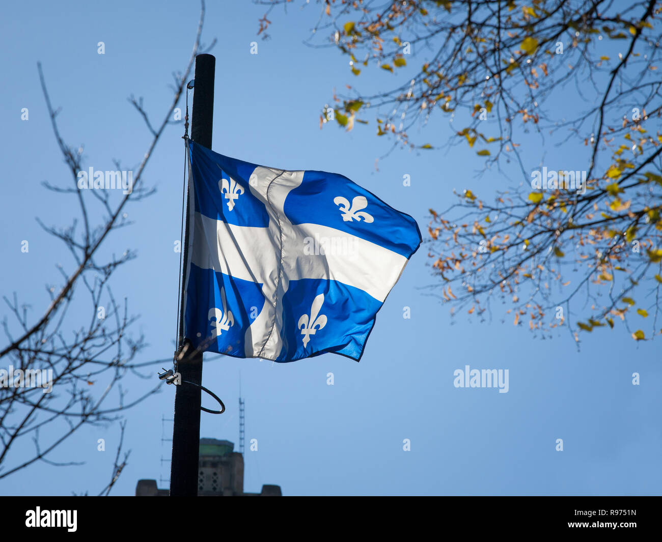 Quebec Flagge vor einem Bäume Verzicht in der Luft. Auch als Fleur de Lys, oder fleurdelise bekannt, es ist das offizielle Symbol der kanadischen Provinz Stockfoto