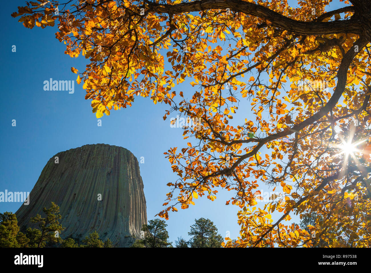 Herbst am Devils Tower, Wyoming Stockfoto