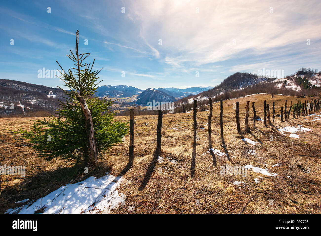 Kleine Fichte durch den Zaun auf einem Hügel. Schöne bergige Landschaft im Frühling. blattlosen Bäume und Flecken Schnee auf einer verwitterten Wiese. Stockfoto