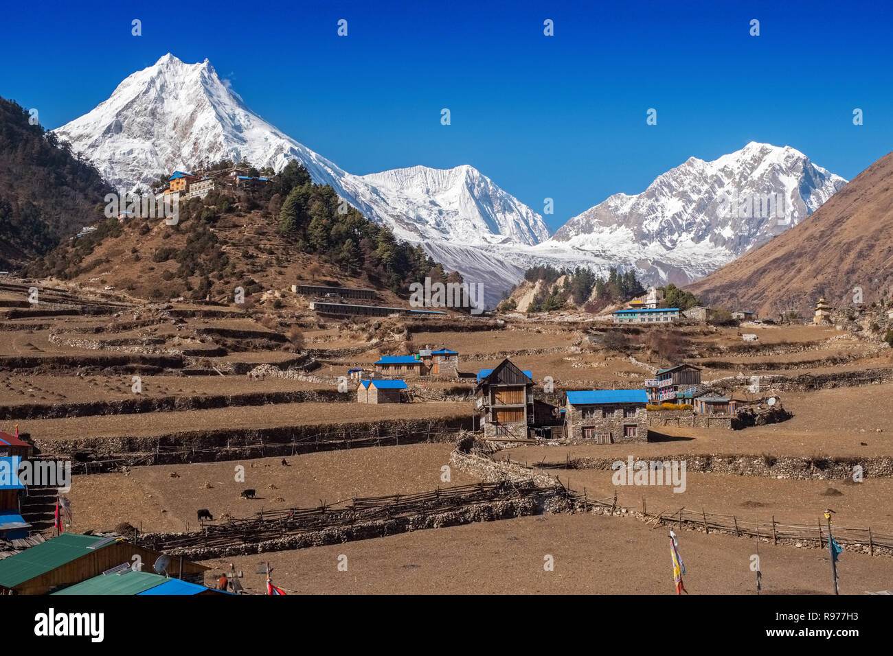 Manaslu (Manasulu), 8. der weltweit höchste Berg in Nepal Himalaya aus dem Dorf der Lho, die durch ethnische Tibeter besiedelten Stockfoto