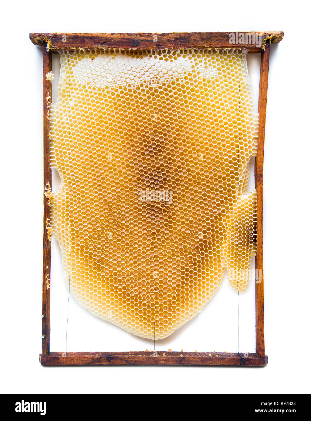 50 Bienennest-Wabenrahmen Aus Bienenwachs – 13,3x9 Cm – Für Natürliche Honiggewinnung