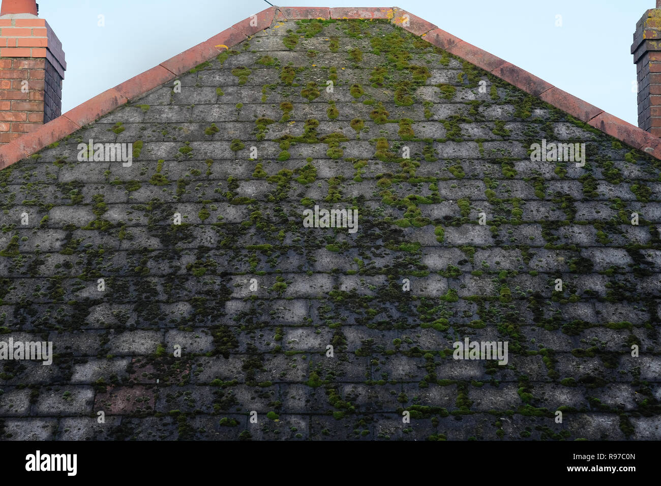Ein haus dach in Cornwall mit Moos wächst. Stockfoto