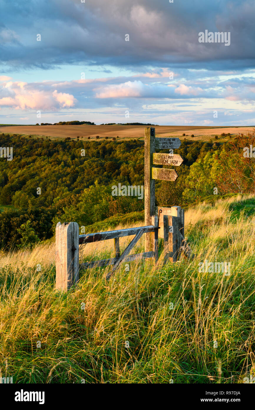 Holz- fingerpost (Cleveland Way National Trail) im schönen sonnigen Lage auf einem Hügel mit einem malerischen Landschaft - Sutton Bank, Yorkshire, England. Stockfoto