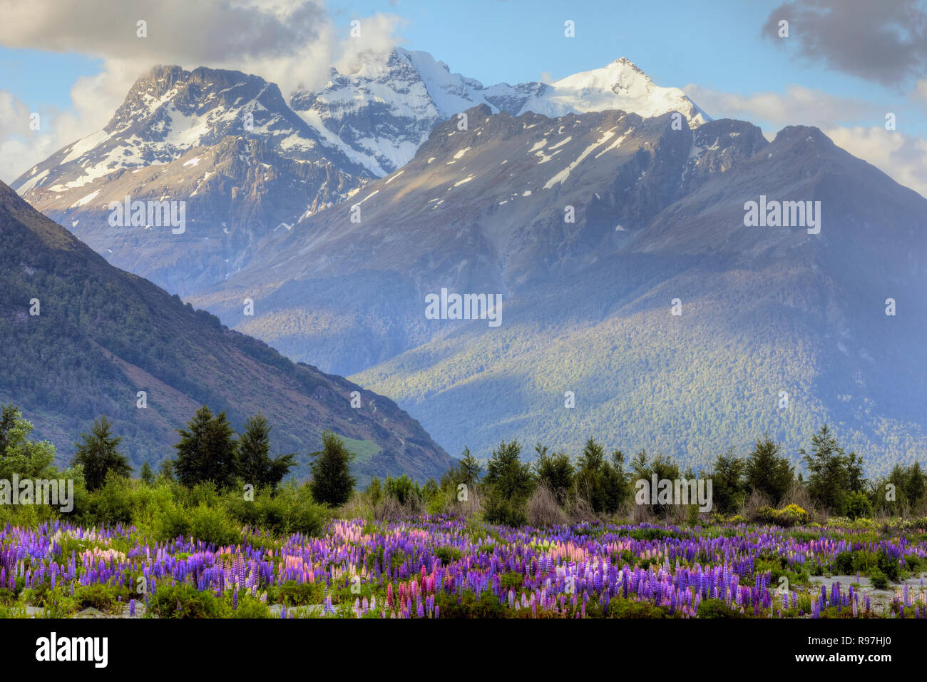 Glenorchy, Lake Wakatipu und Otaga, Südinsel, Neuseeland Stockfoto